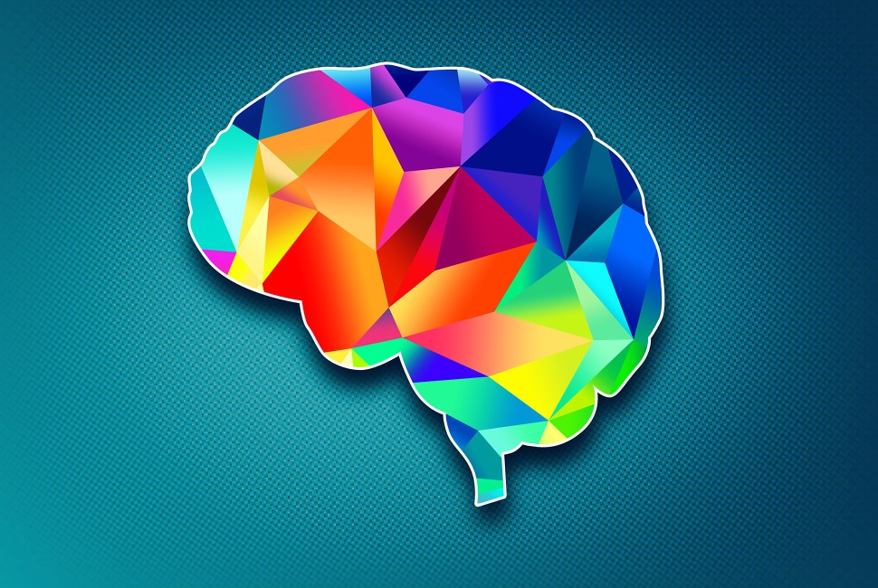 brain