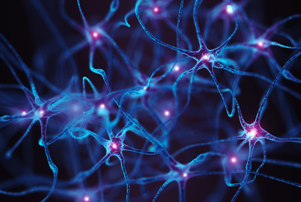 neuron health